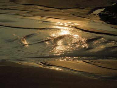 goldenriver