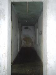 116155