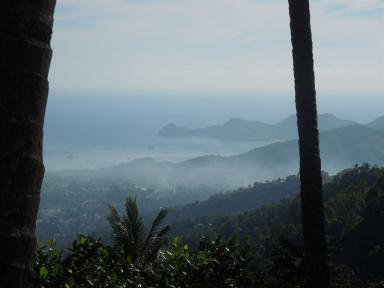 dili