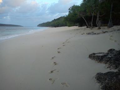 beachprints