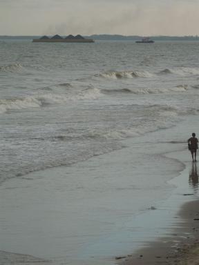 beachandcoal