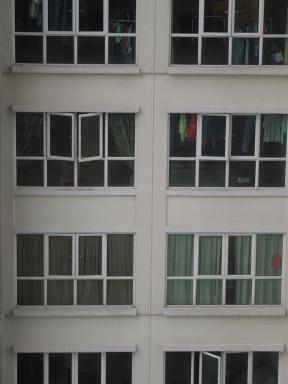 windows