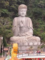 117908