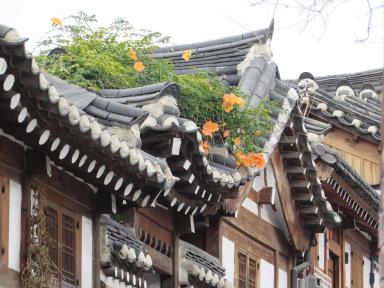 roofs