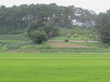 gochang1
