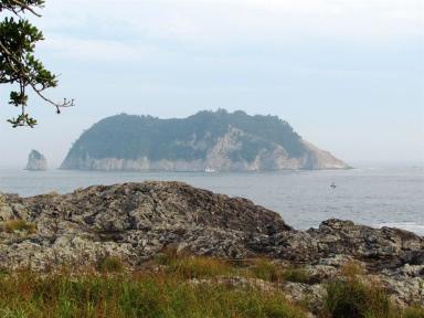 sea&island