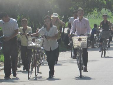 bicycles