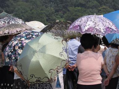 umbrellas