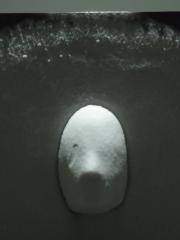 119865