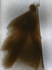119866