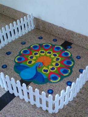 peacock3