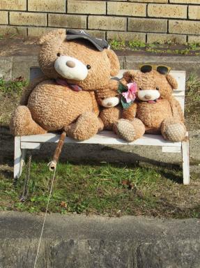 bears