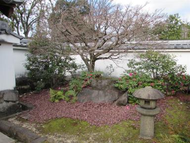 garden2