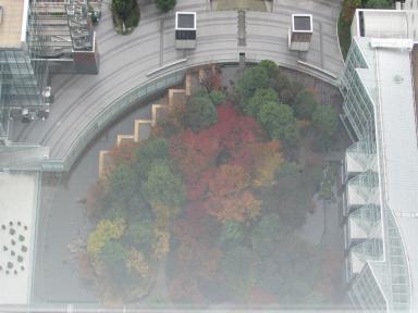 lookingdown