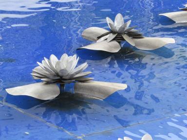 waterflowers