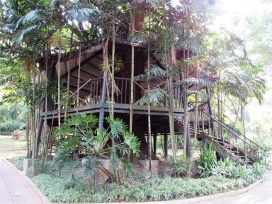 treehouse