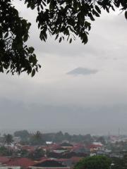 120751