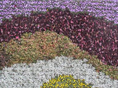 flowerlayers