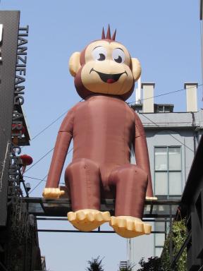 monkey