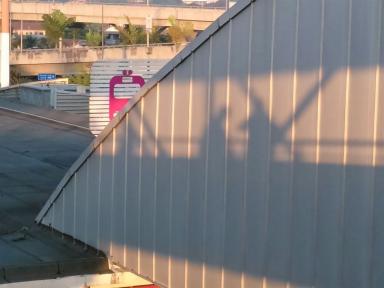 shadows