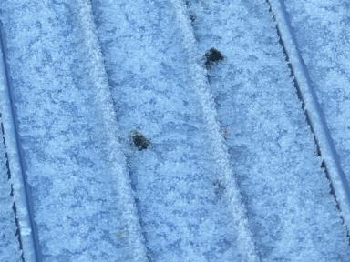 snow2