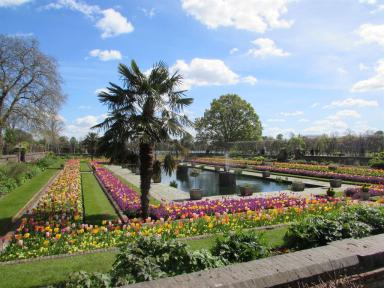 garden