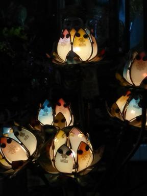 lotuslights