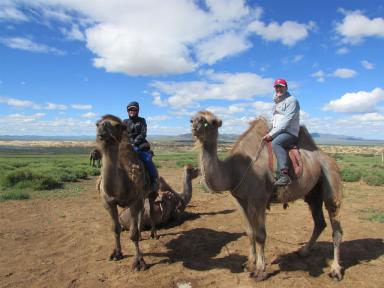 usoncamels