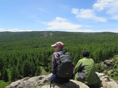 mountainforest