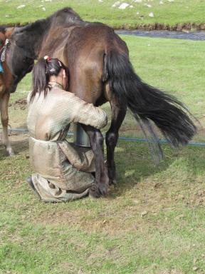 milkingmare