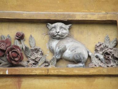 huguangcat