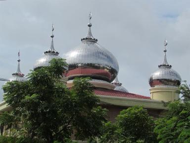 shinydomes