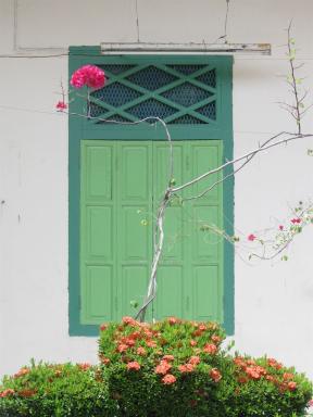 window2