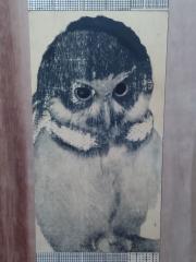 123203