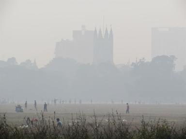 cricket&church