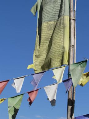 flags