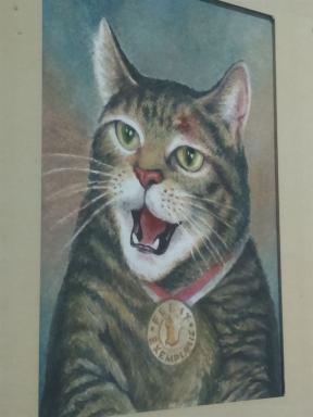 feistycat