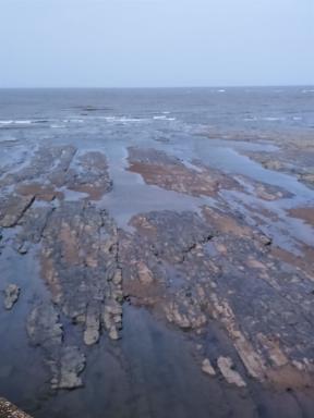 rocks
