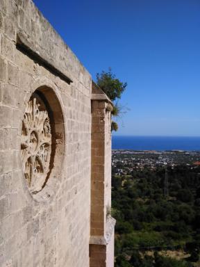 rose&view