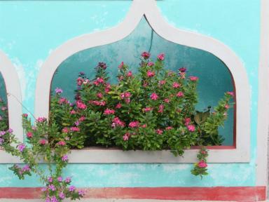 flowersinwall