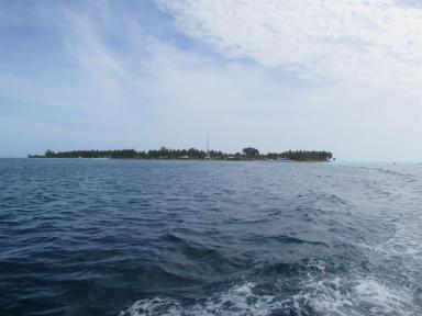 smallisland