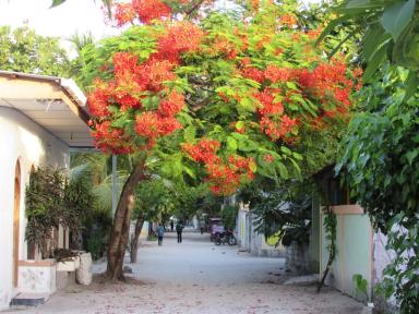 flametree