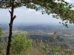 125888