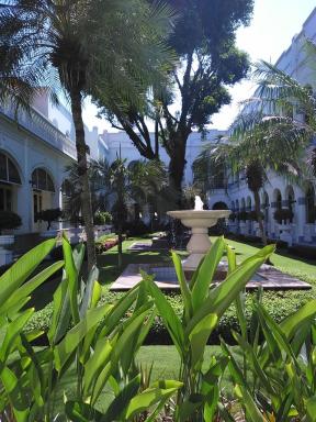 garden2