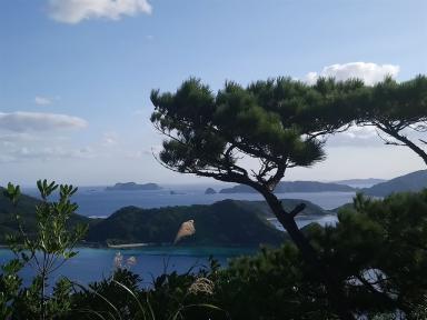 trees&islands