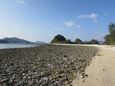 shingle