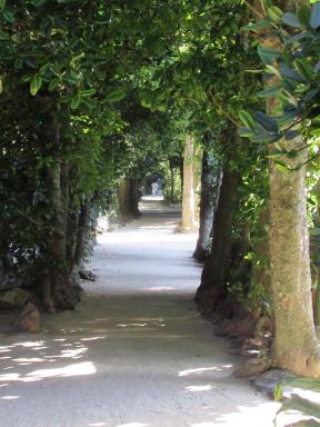 avenue1