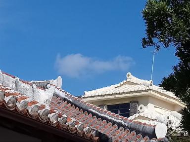 roofs2