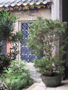 bluewindow&bush