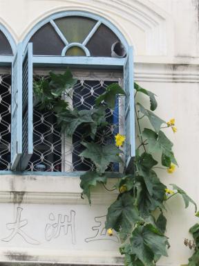 window3